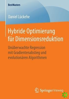 Hybride Optimierung Fur Dimensionsreduktion