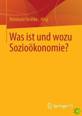 Was Ist Und Wozu Soziooekonomie?