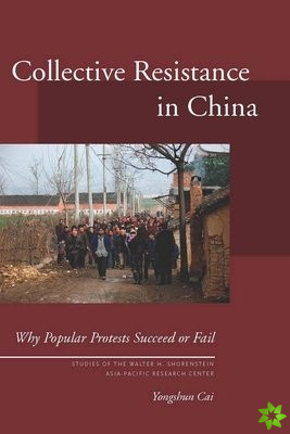 Collective Resistance in China