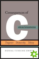 Consequences of Consciousness