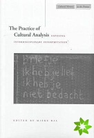 Practice of Cultural Analysis