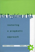 Risk Regulation at Risk