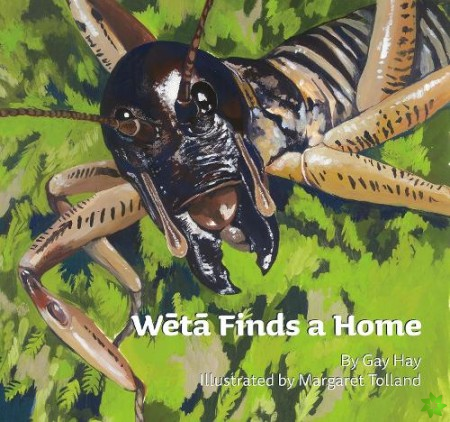 Weta Finds a Home