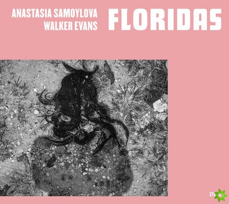Anastasia Samoylova, Walker Evans: Floridas