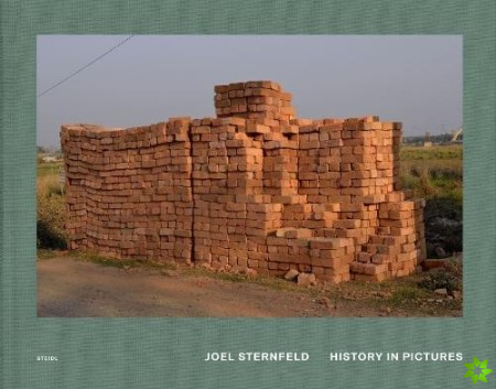 Joel Sternfeld: History in Pictures