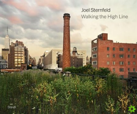 Joel Sternfeld: Walking the High Line
