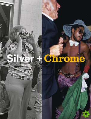 Mitch Epstein: Silver + Chrome