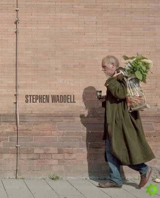 Stephen Waddell