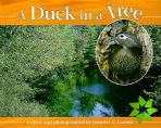 Duck in a Tree