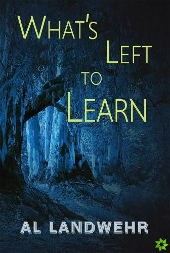 What's Left to Learn