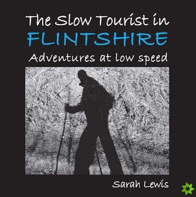 Slow Tourist in Flintshir