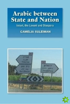 Arabic between State and Nation