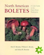 North American Boletes