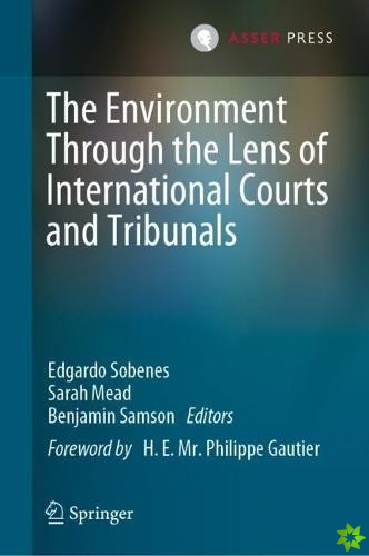 Environment Through the Lens of International Courts and Tribunals