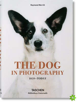 Dog in Photography 1839Today