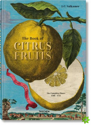 J. C. Volkamer. Citrus Fruits