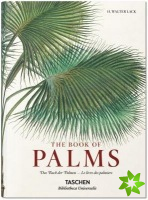von Martius. The Book of Palms