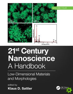 21st Century Nanoscience  A Handbook