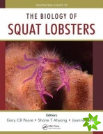 Biology of Squat Lobsters