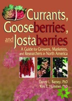 Currants, Gooseberries, and Jostaberries