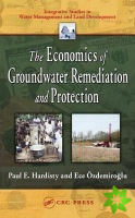 Economics of Groundwater Remediation and Protection