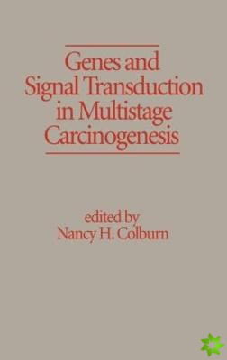 Genes and Signal Transduction in Multistage Carcinogenesis