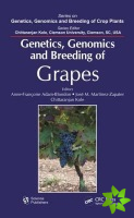 Genetics, Genomics, and Breeding of Grapes