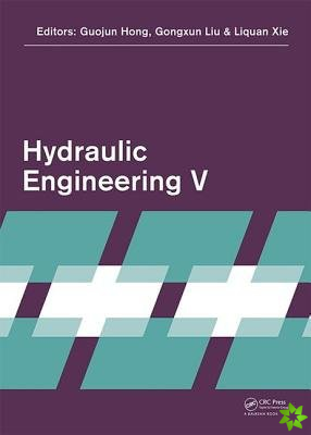 Hydraulic Engineering V