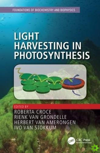 Light Harvesting in Photosynthesis