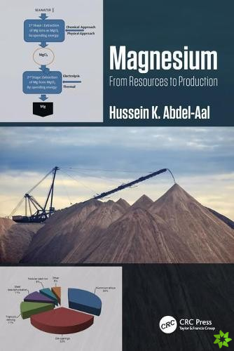 Magnesium: From Resources to Production