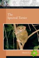 Spectral Tarsier