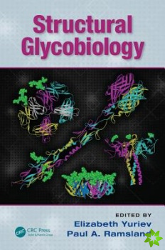 Structural Glycobiology