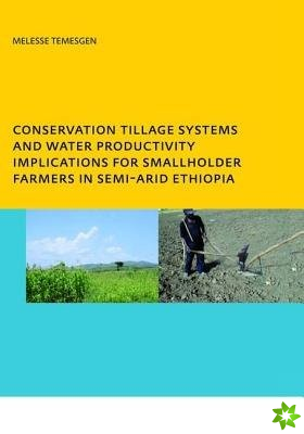 Conservation Tillage Systems and Water Productivity - Implications for Smallholder Farmers in Semi-Arid Ethiopia