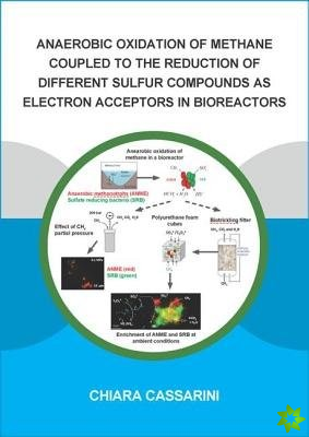 Anaerobic Oxidation of Methane Coupled to the Reduction of Different Sulfur Compounds as Electron Acceptors in Bioreactors