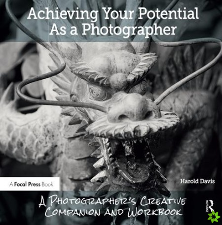 Achieving Your Potential As A Photographer