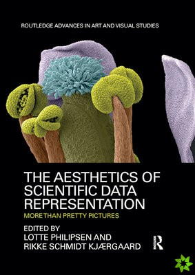 Aesthetics of Scientific Data Representation