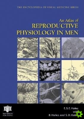 Atlas of Reproductive Physiology in Men
