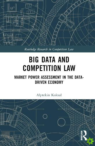 Big Data and Competition Law