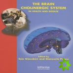 Brain Cholinergic System