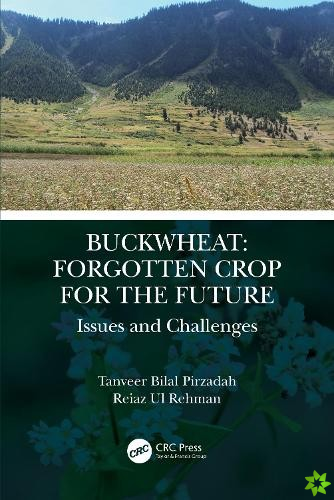 Buckwheat: Forgotten Crop for the Future