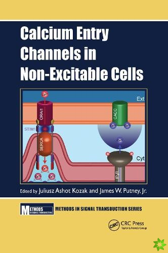 Calcium Entry Channels in Non-Excitable Cells