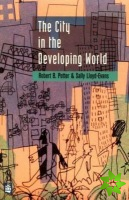 City in the Developing World