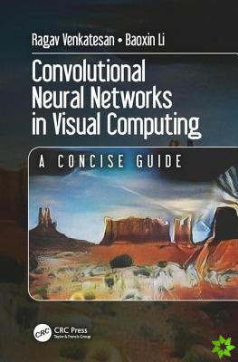 Convolutional Neural Networks in Visual Computing