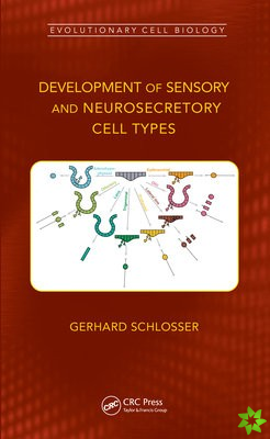 Development of Sensory and Neurosecretory Cell Types