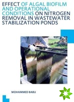 Effect of Algal Biofilm and Operational Conditions on Nitrogen Removal in Waste Stabilization Ponds