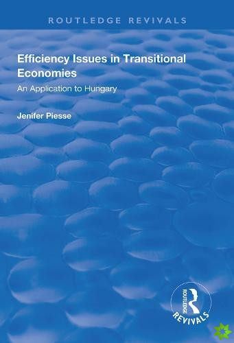 Efficiency Issues in Transitional Economies