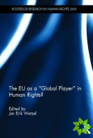 EU as a Global Player in Human Rights?