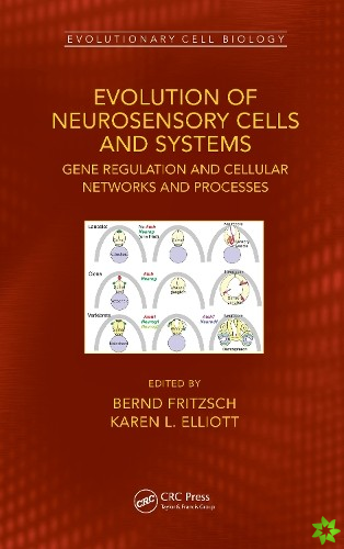 Evolution of Neurosensory Cells and Systems