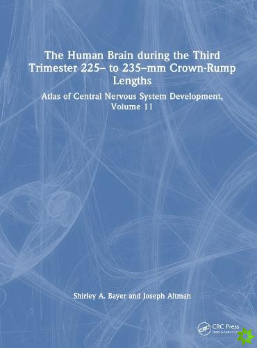 Human Brain during the Third Trimester 225 to 235mm Crown-Rump Lengths