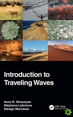 Introduction to Traveling Waves